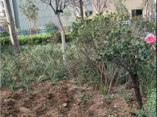 &#19975;&#35937;&#22478;&#22312;&#32447;&#30331;&#24405;&#32;&#45;&#32;&#19975;&#35937;&#22478;&#65288;&#20013;&#22269;&#65289;&#45;&#19975;&#35937;&#22478;&#65288;&#20013;&#22269;&#65289;