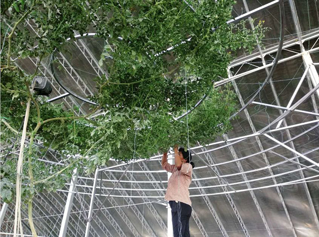 &#19975;&#35937;&#22478;&#22312;&#32447;&#30331;&#24405;&#32;&#45;&#32;&#19975;&#35937;&#22478;&#65288;&#20013;&#22269;&#65289;&#45;&#19975;&#35937;&#22478;&#65288;&#20013;&#22269;&#65289;