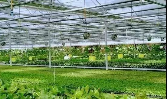 &#19975;&#35937;&#22478;&#22312;&#32447;&#30331;&#24405;&#32;&#45;&#32;&#19975;&#35937;&#22478;&#65288;&#20013;&#22269;&#65289;&#45;&#19975;&#35937;&#22478;&#65288;&#20013;&#22269;&#65289;